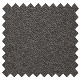 Échantillon cuir - Anthracite 88